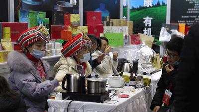 武漢最新動態(tài)，城市脈搏躍動與未來展望