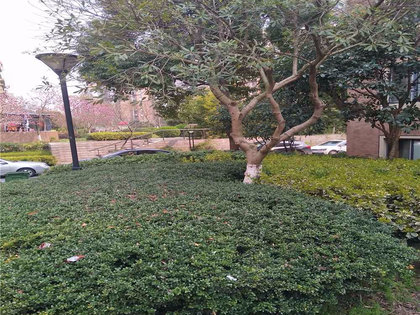 常熟老街房價(jià)動(dòng)態(tài)與溫情故事回顧