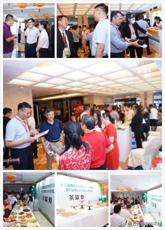 最新十大教槽料企業(yè)及其高科技產(chǎn)品概覽